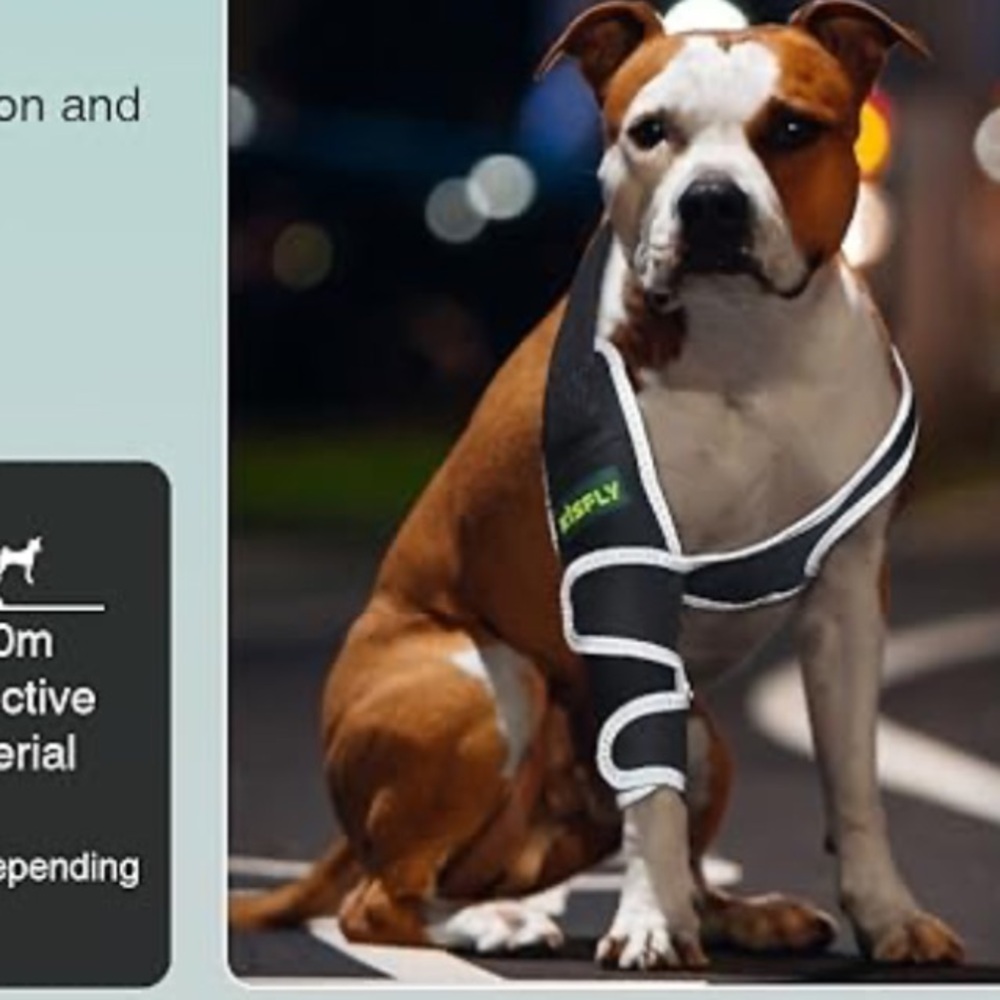 Dog Elbow Support Right Leg Brace